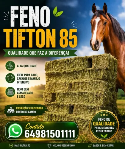 FENO TIFITON 85