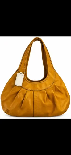 Coach original