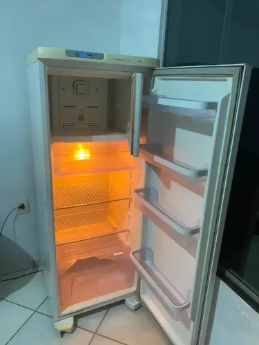 Geladeira Frost Free