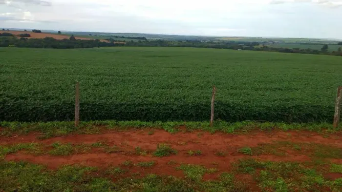 Fazenda a venda - Rio Verde - GO