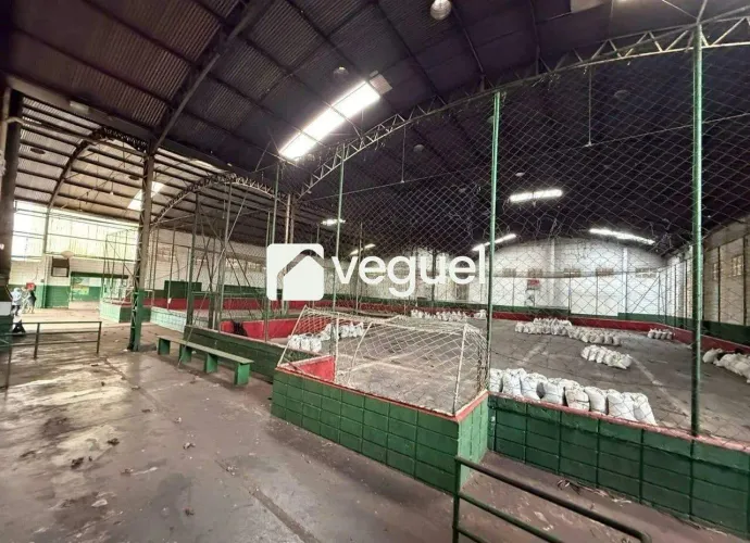 Galpão Comercial com 1.834,00m² para alugar próximo av. Dom Pedro I , Ribeirão Preto/SP