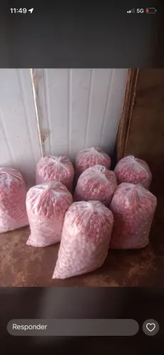 Morango Congelado selecionados 