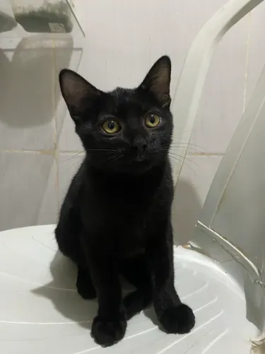 Doação 