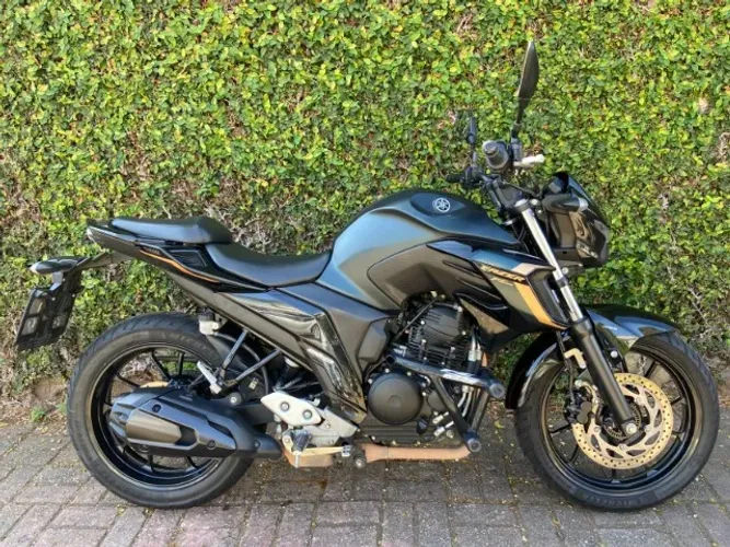 Yamaha Fz 250 2024