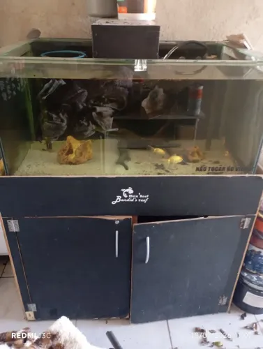 Aquário 300 LT sump 100 LT vai com luminária substrato areia bomba