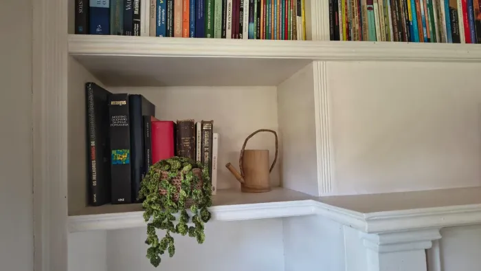 Planta decorativa de crochê feita a mão