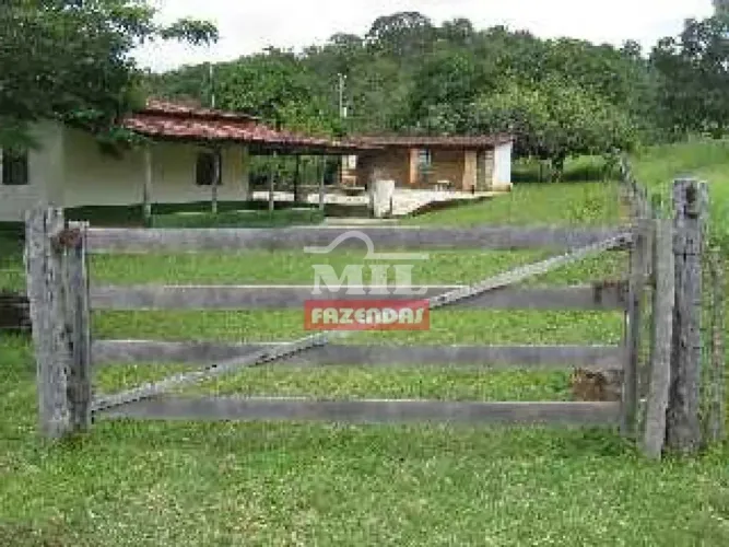 Fazenda 38,2 Alqueires (185 Hectares) Jaraguá - GO