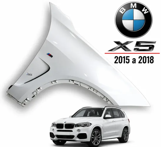 Paralama Dianteiro direito BMW X5 2015 a 2018 Original