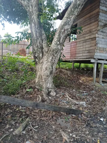 Terreno no parque aeroportuário infraero 2