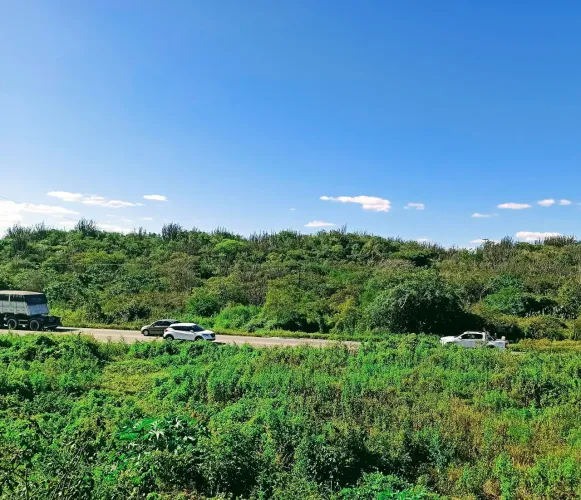 Vendo/ permuto fazenda beira de pista em Campina Grande