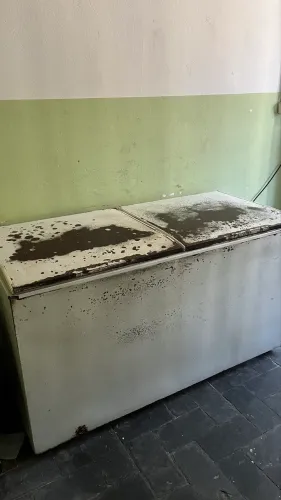 Freezer electrolux SÓ HOJE 800$