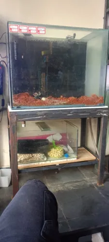 Aquário de 200 litros