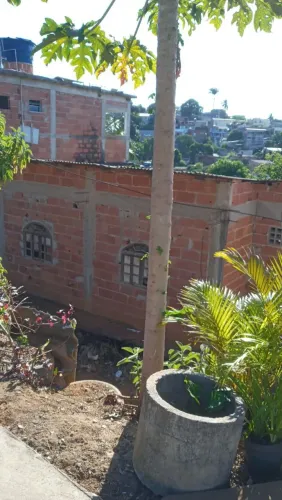 Terreno