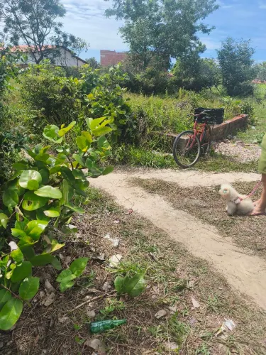 Vendo terreno em Beberibe falar direto com o proprietário chamar no ZAP *73 
