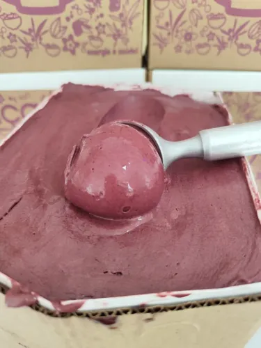 Açai 5 litros