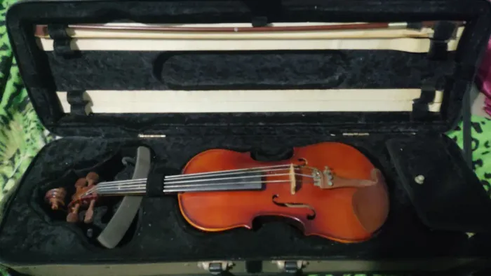 Violino