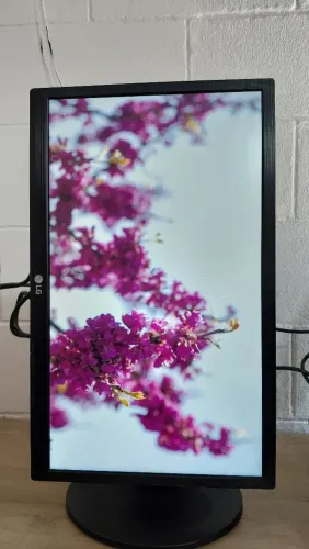 Monitor LG 22 Polegadas" Full HD com HDMI | Tela LED!
