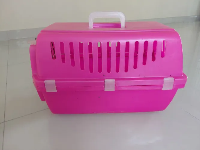 Caixa para Pet rosa