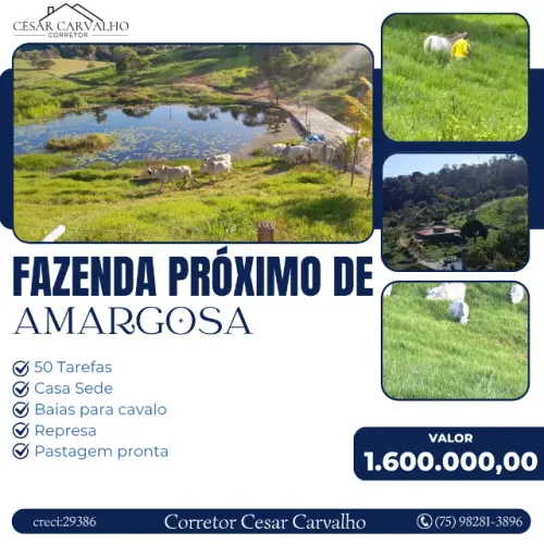 FAZENDA PRÓXIMO DE AMARGOSA - 50 TAREFAS