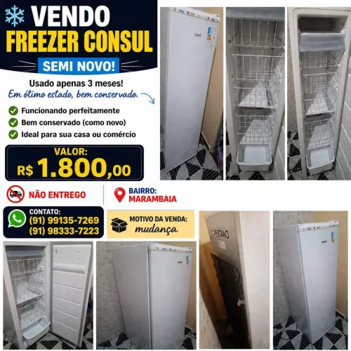 Freezer Consul vertical