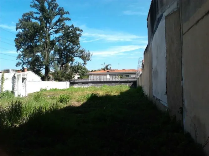 Amplo Terreno em Zona Estritamente Residencial