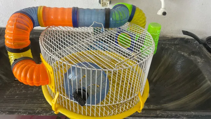 Gaiola de hamster