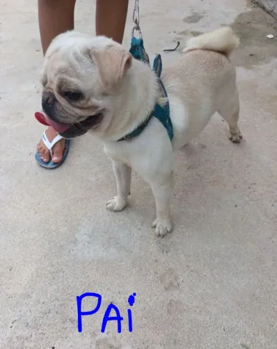 Último machinho disponível 300 reais entrego 