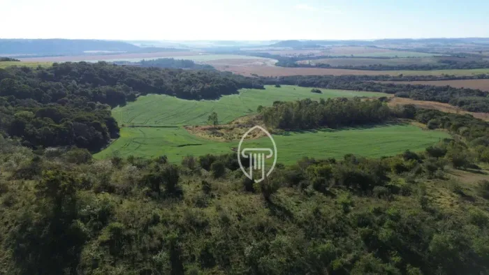 Fazenda à venda, 90 alqueires paulistas por R$ 31.500.000 - Rural - Rancho Alegre/PR