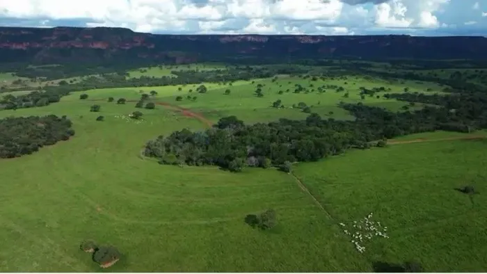 Vendo!!! fazenda de 2.062 hectares Pedra Preta/MT