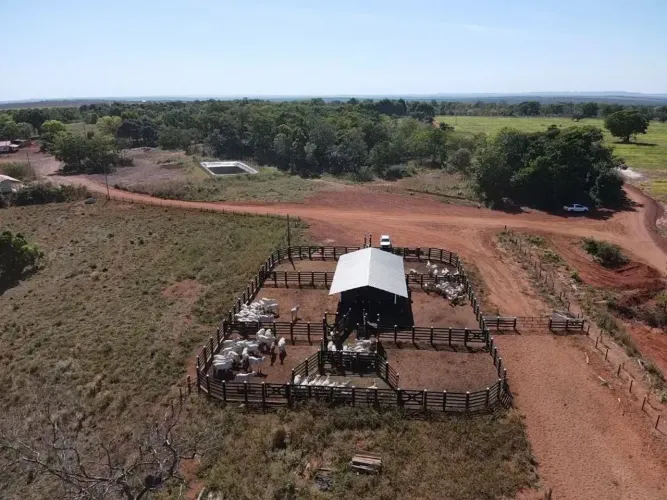 FAZENDA À VENDA EM ARAGUAÍNA  TOCANTINS- Araguaína - TO