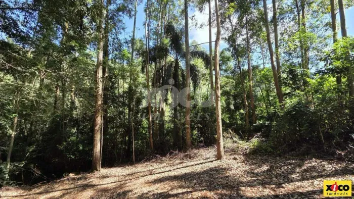 SÍTIO / CHÁCARA PARA VENDA EM NOVA PETRÓPOLIS / RS NO BAIRRO SÃO JACÓ
