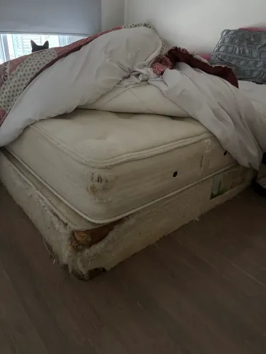 Cama queen usada