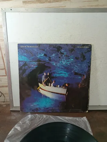 Disco de vinil 