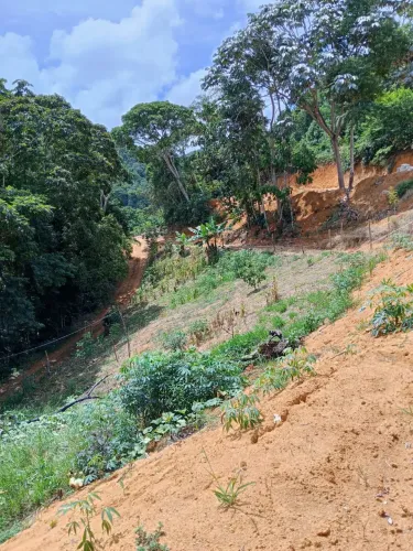 Vendo terrenos 1400 metros em Paraju