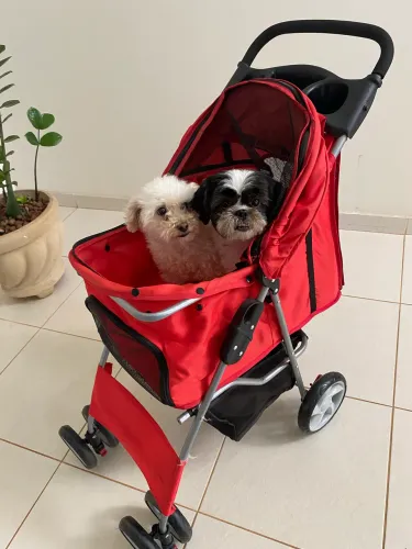 Vendo carrinho para Pet 