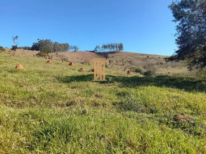 ÁREA DE 5.000M² EM PARAIBUNA