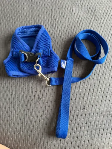 Produtos para cachorro