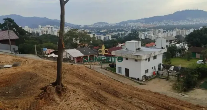 Lote/Terreno à Venda, Itacorubi - Florianópolis