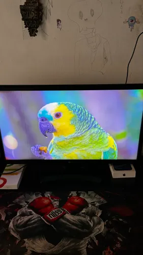 Monitor LG 60hz