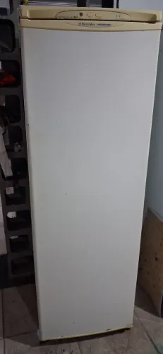 Freezer vertical
