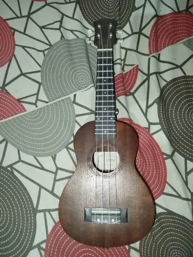Vendo ukulele