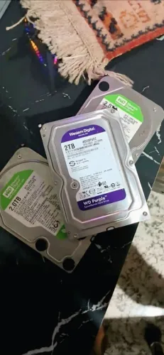 HD 2TB - Western Digital - 100% Saudáveis e Testados