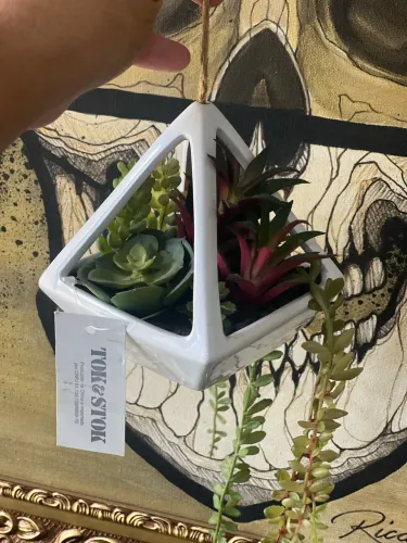 Pirâmide com suculenta + cestinhas com folhas Decorativas 