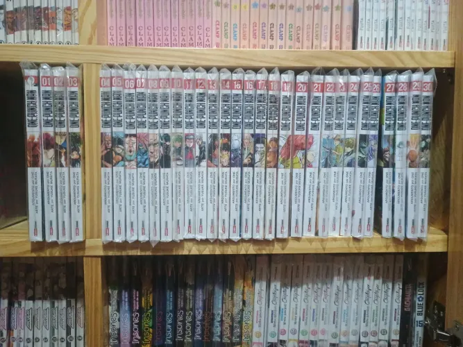 One Punch Man 1 ao 30 e Catálogo de Heróis 