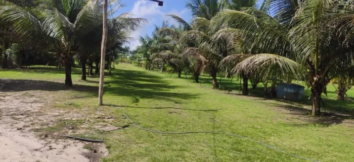 Vende se terreno com igarape em São Francisco do Pará