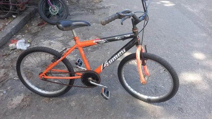 Bicicleta Zummi Aro 20