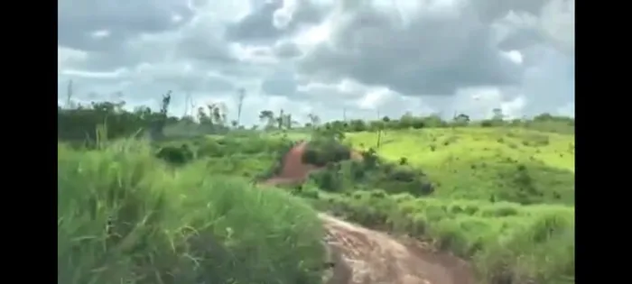 250 Hectares por 1,6 milhões de reais no Pará 