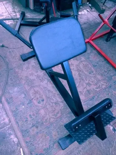 Extensão lombar profissional