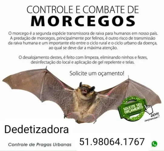 Controle de Morcegos e Controle Pragas - Desentupidora RS 