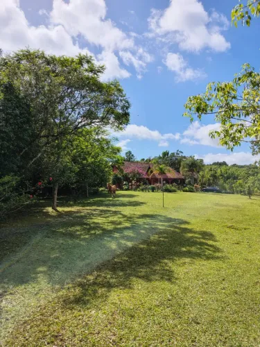 Sítio com casa incrível em viamão/RS
